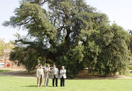 Foto al Roure de Codorníu